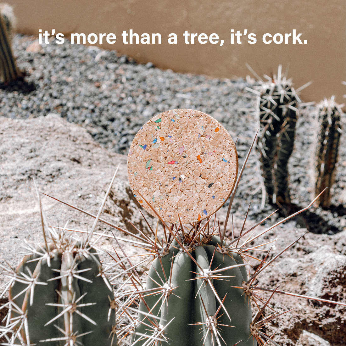 It's more than a tree, it's cork.
